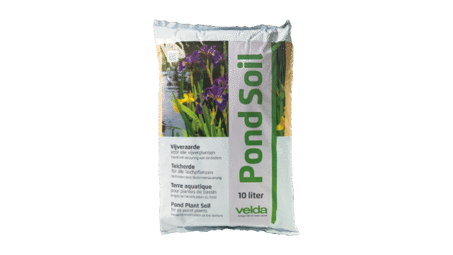 Plant Soil