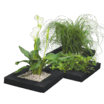 Floating Plant Island