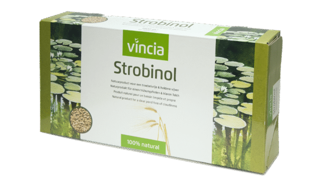 Vincia Strobinol