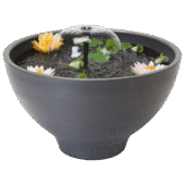 Fountain Pond / Fountain Pond Waterfall