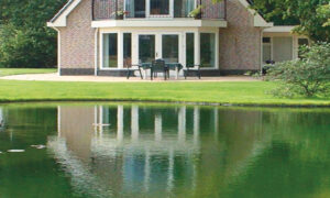 pond-maintenance-september