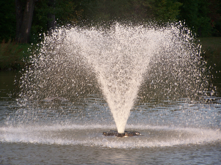 Details about   Pontec PondoCompact Pond Water Feature Pumps Fountains Ornaments Variable Flow 