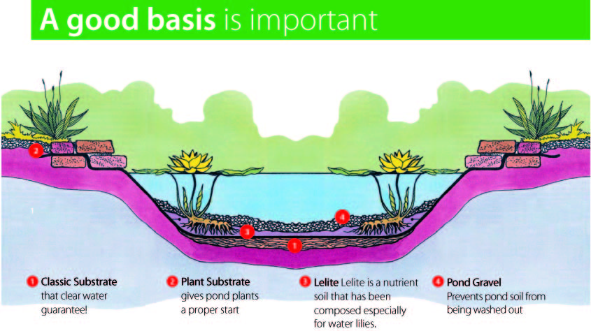 Pond soil, the nutrient medium of your pond | Velda