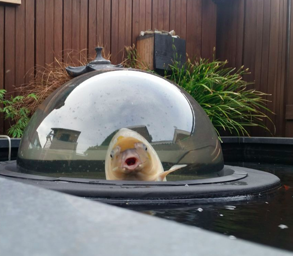 Wasserwerte testen