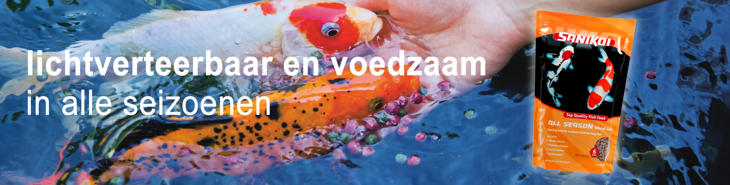 SaniKoi Toutes saisons