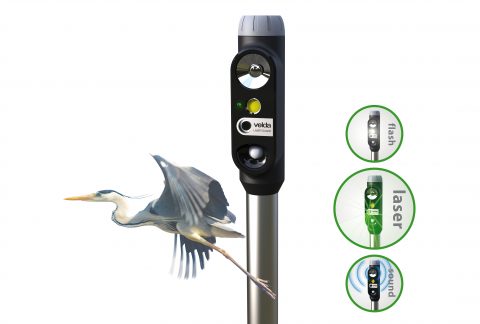 Laser-Guard-heron