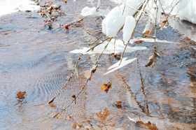 vijver tips voor de winter