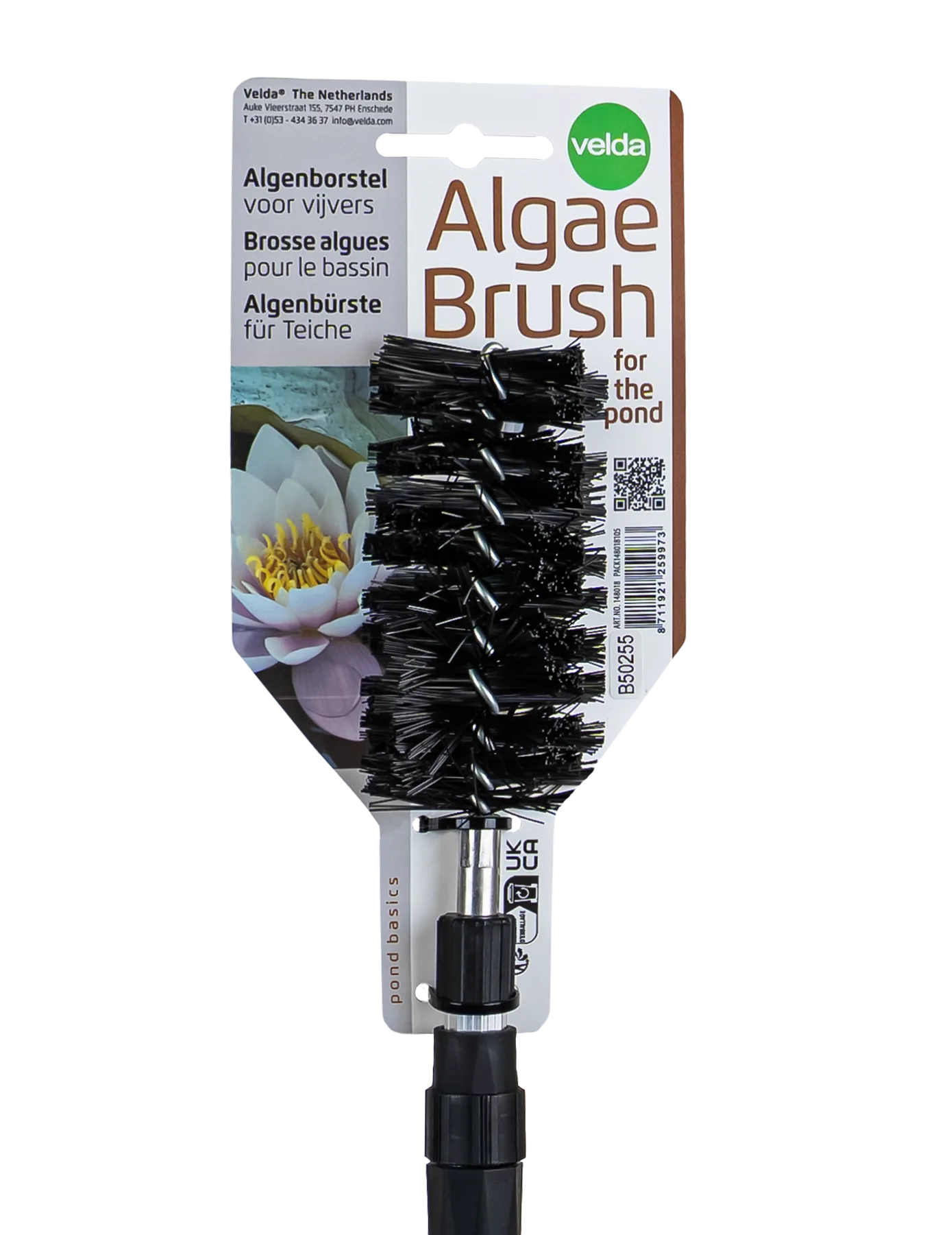 Algae Brush