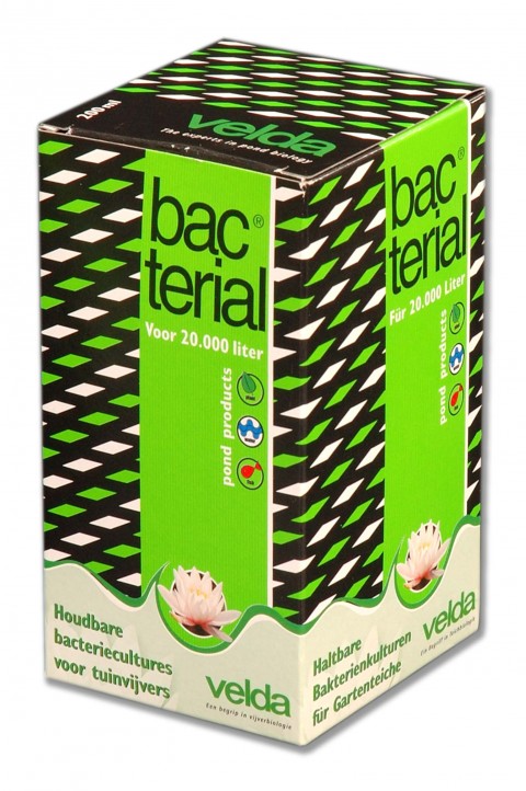 Nitrifizierende Bakterien, bakterielle Velda
