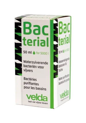 Bacterial