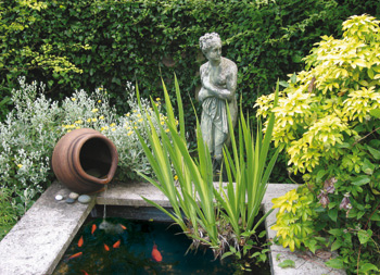 small_pond
