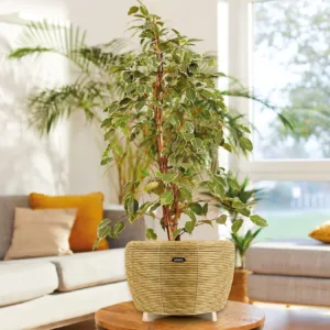 Orbis Planter